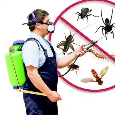 pest control Palenville